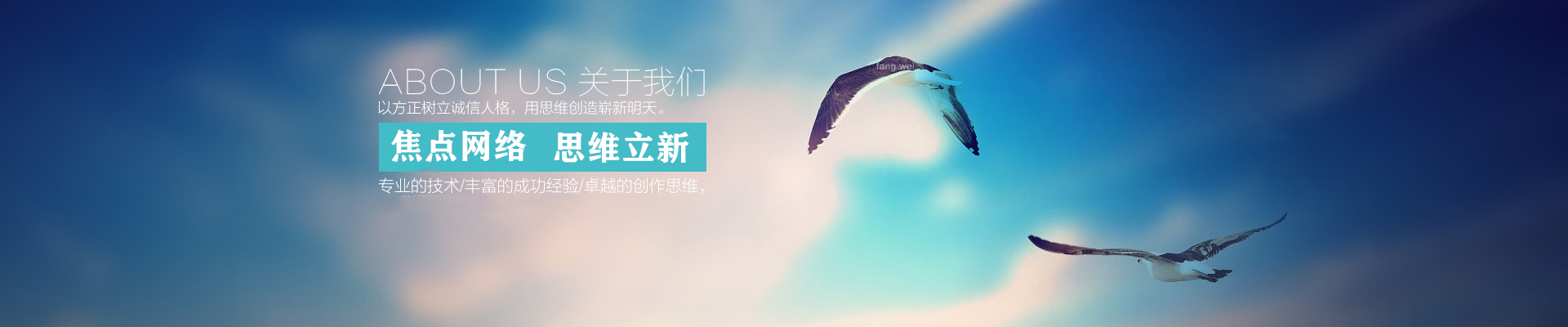 新闻动态banner